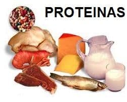 proteínas