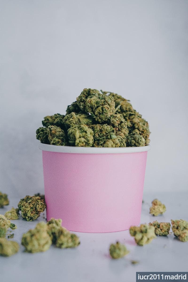 green kush in pink bucket