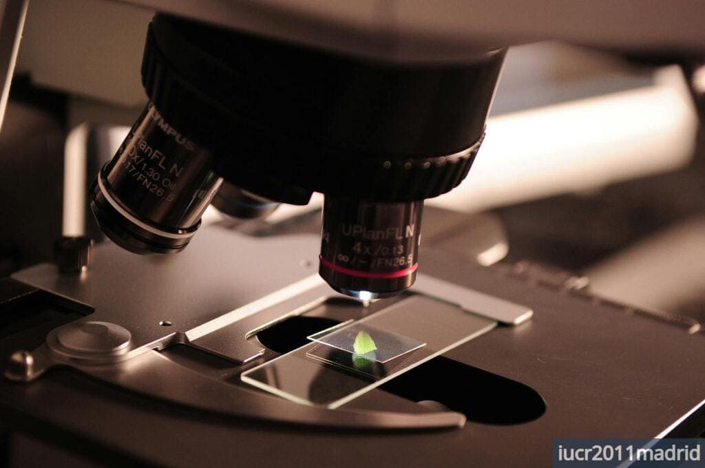 Ciencia