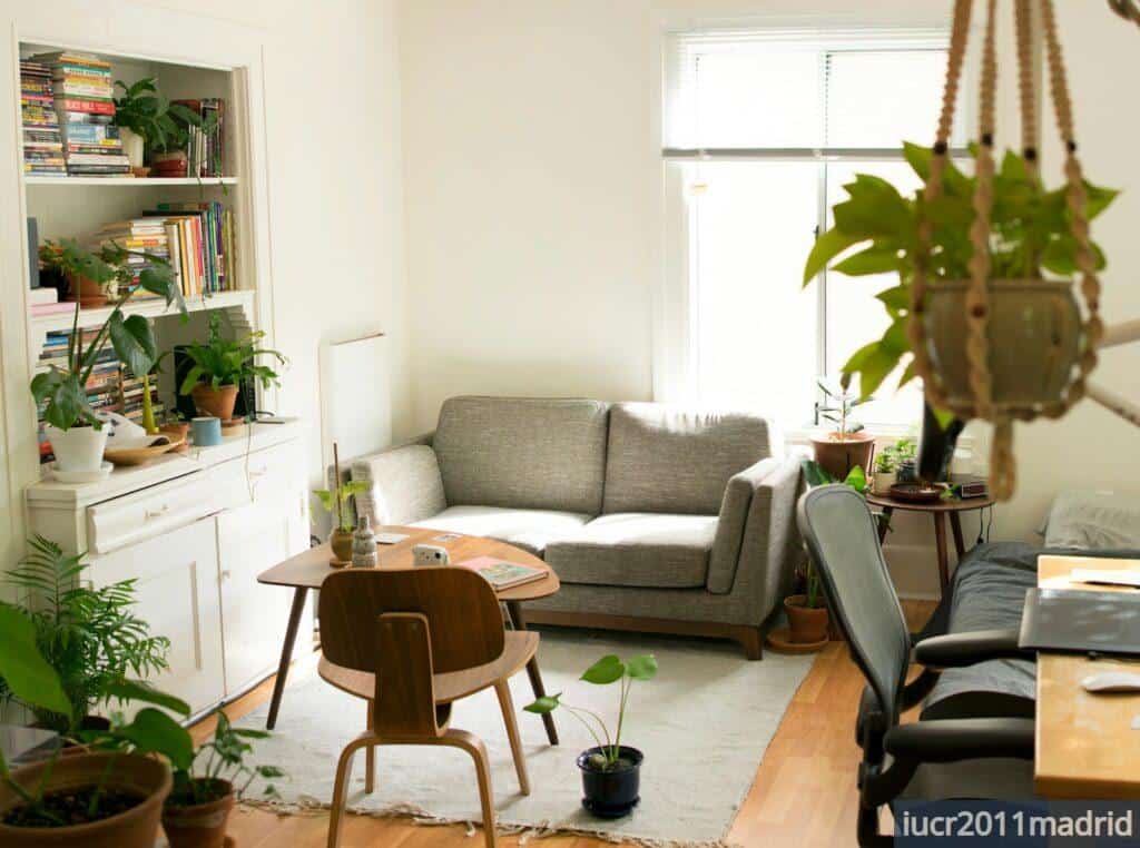 apartment rental